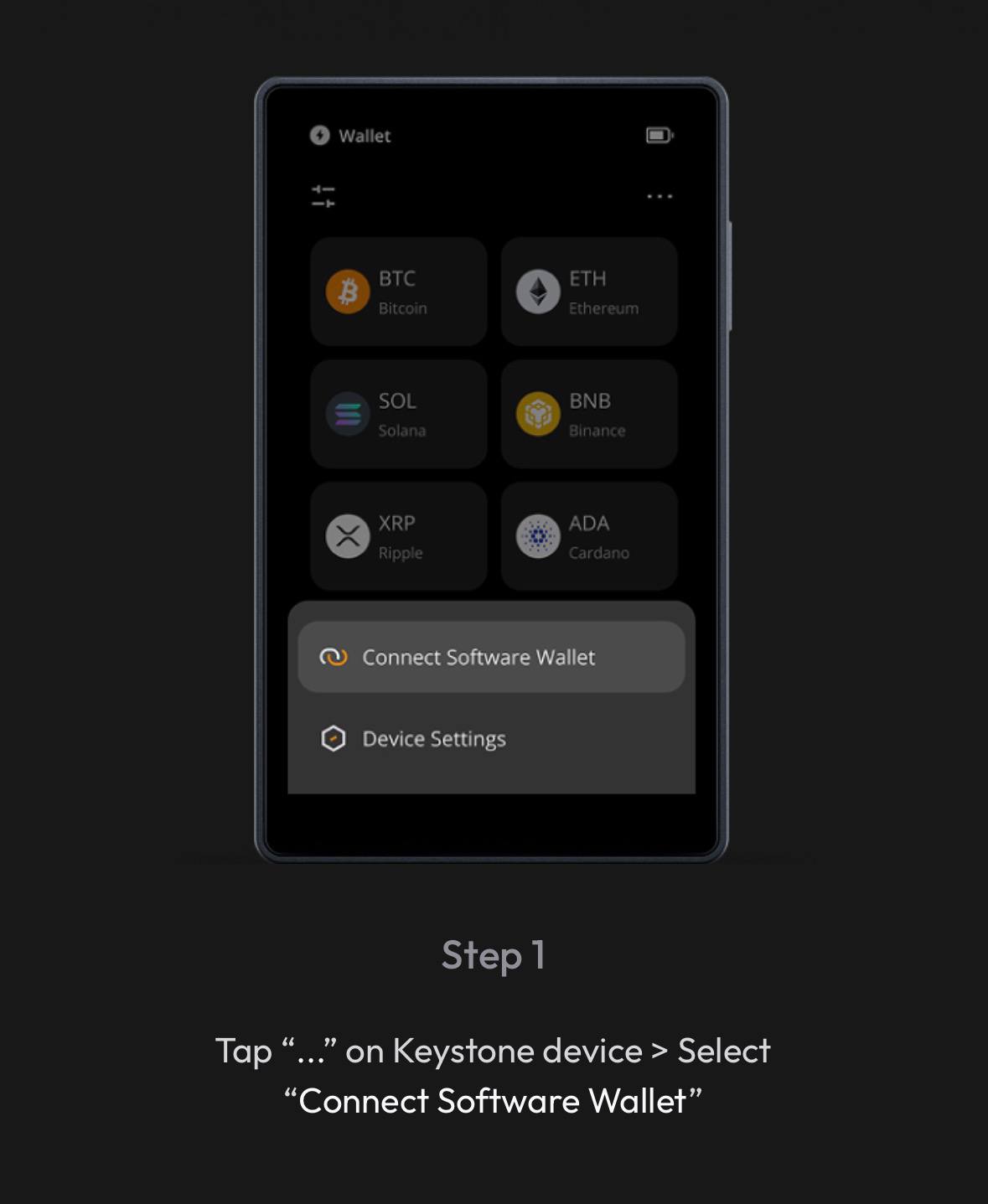 Connect Software Wallet